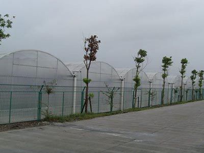 連棟薄膜溫室
