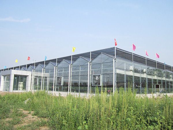 怎樣建設溫室大棚？